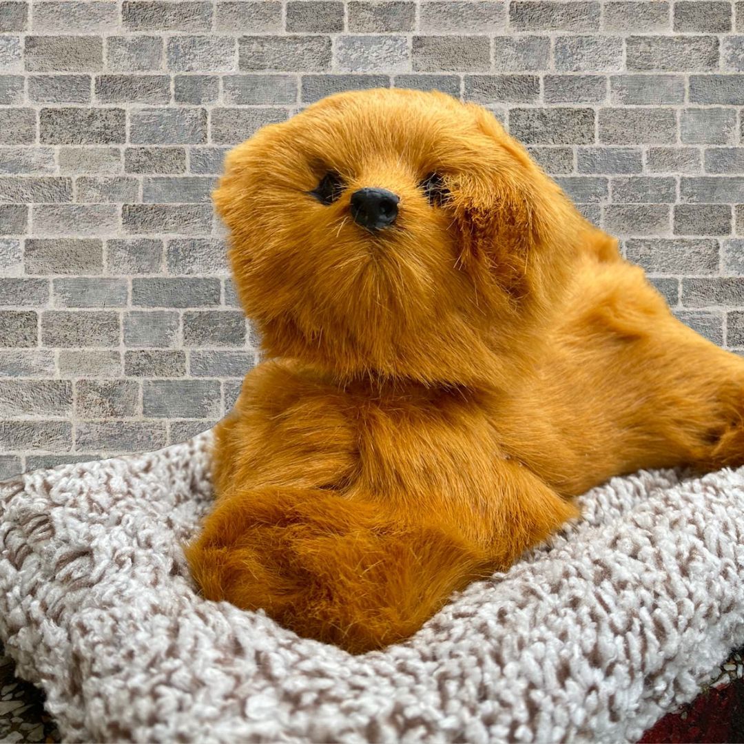 Cute Head Shaking Dog Showpiece | Activated Carbon Car Dashboard Decor