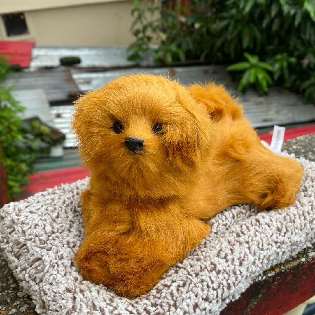 Cute Head Shaking Dog Showpiece | Activated Carbon Car Dashboard Decor - Image 3