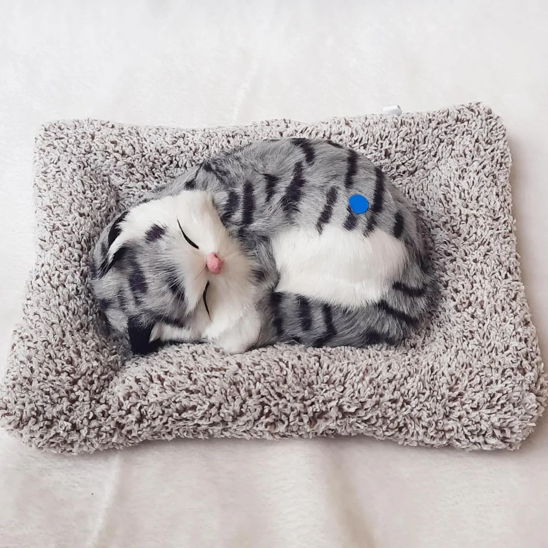 Cute Sleeping Kitty | Activated Carbon Dashboard Ornament (Absorbs Bad Smell) - Image 5