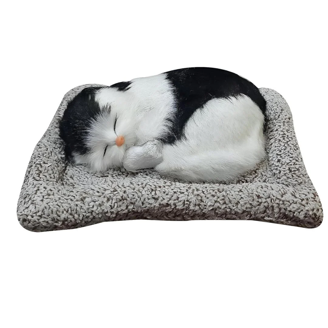 Cute Sleeping Kitty | Activated Carbon Dashboard Ornament (Absorbs Bad Smell) - Image 6