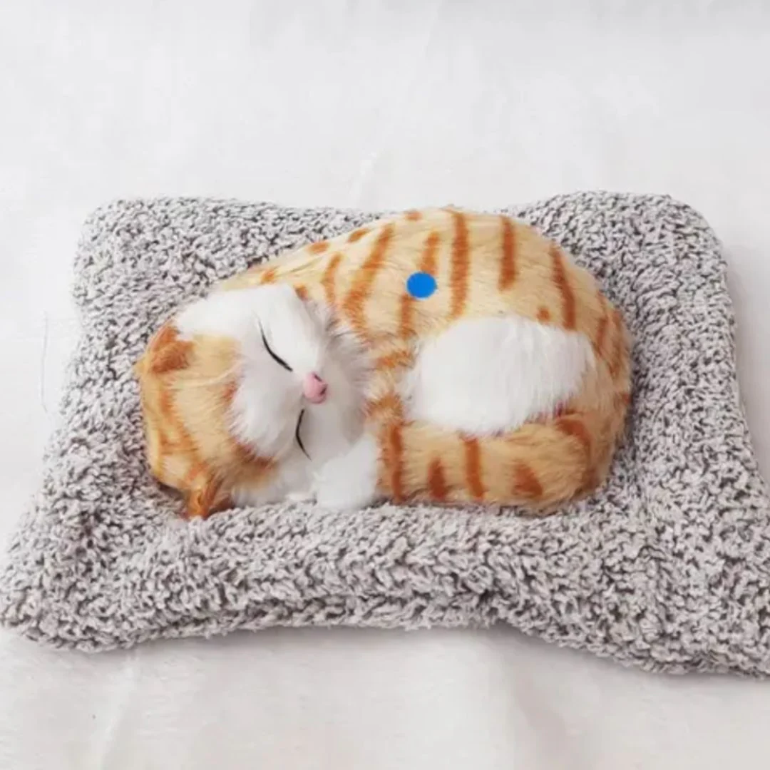 Cute Sleeping Kitty | Activated Carbon Dashboard Ornament (Absorbs Bad Smell) - Image 7