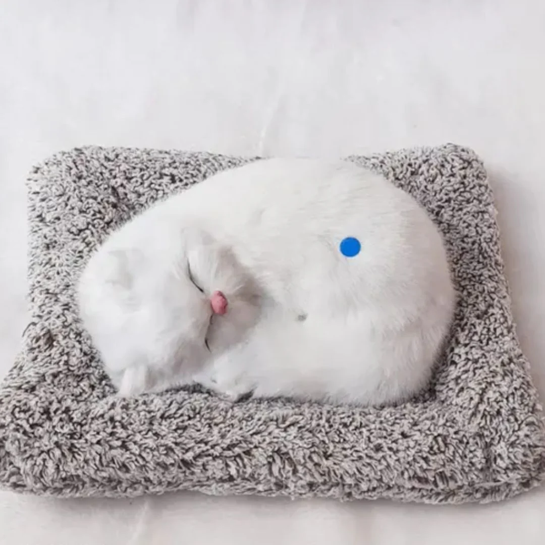 Cute Sleeping Kitty | Activated Carbon Dashboard Ornament (Absorbs Bad Smell) - Image 8