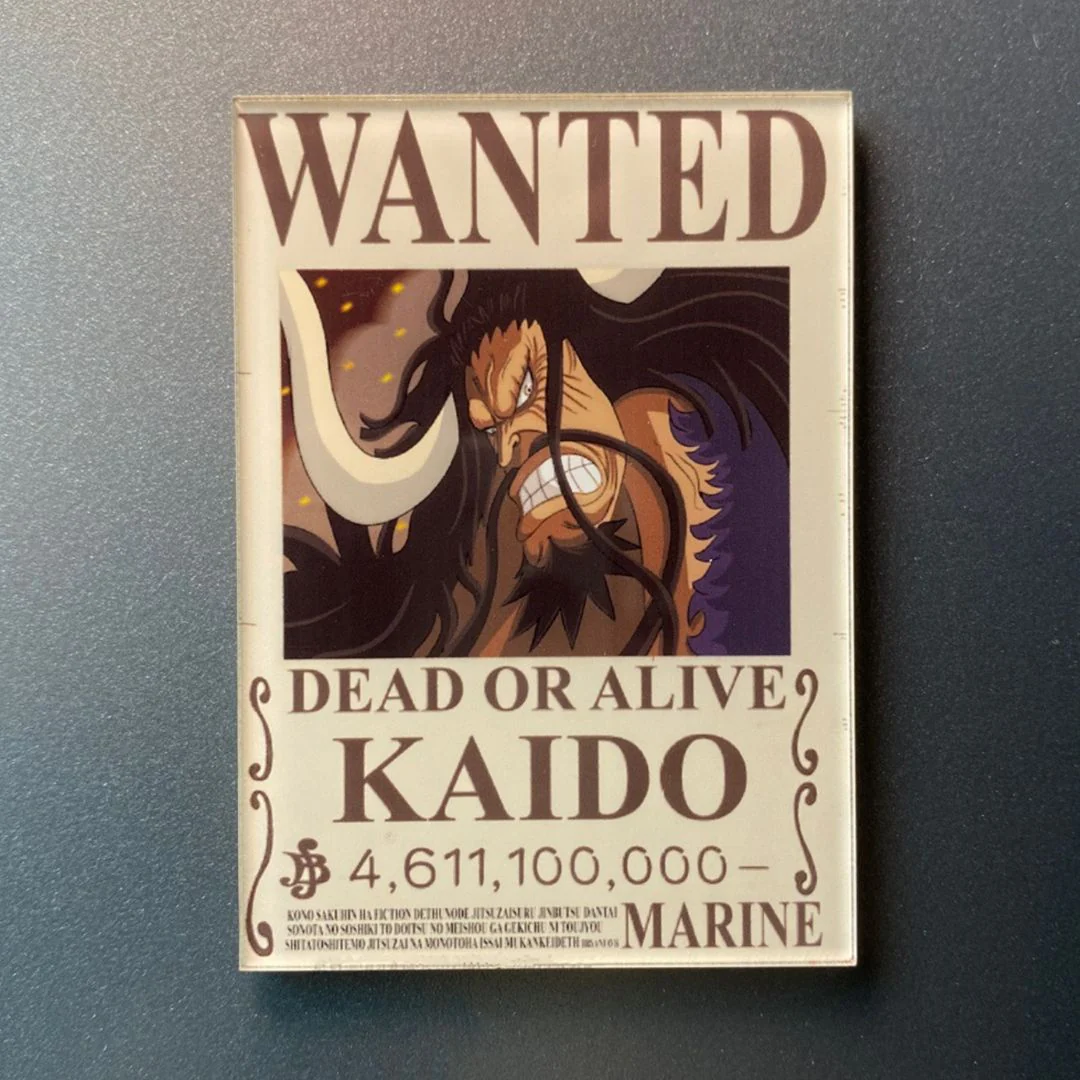 Latest Bounty Fridge Magnet | One Piece Anime Collectible Magnets - Image 15