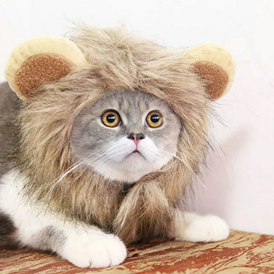 Lion Mane Cat Costume | Cute Wig for Pets - Image 3