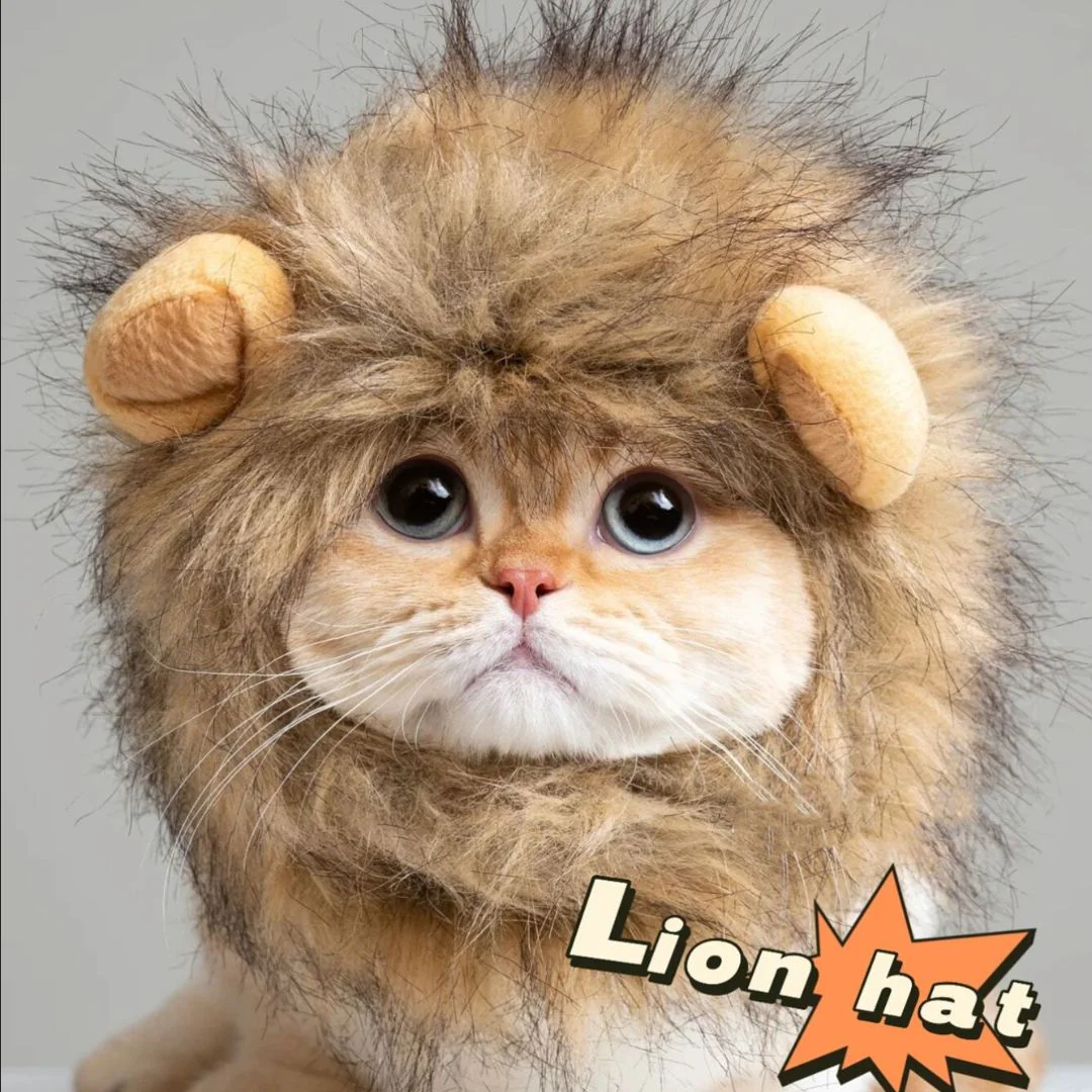 Lion Mane Cat Costume | Cute Wig for Pets - Image 4