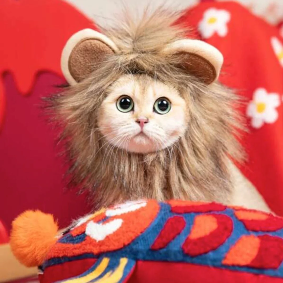 Lion Mane Cat Costume | Cute Wig for Pets - Image 5