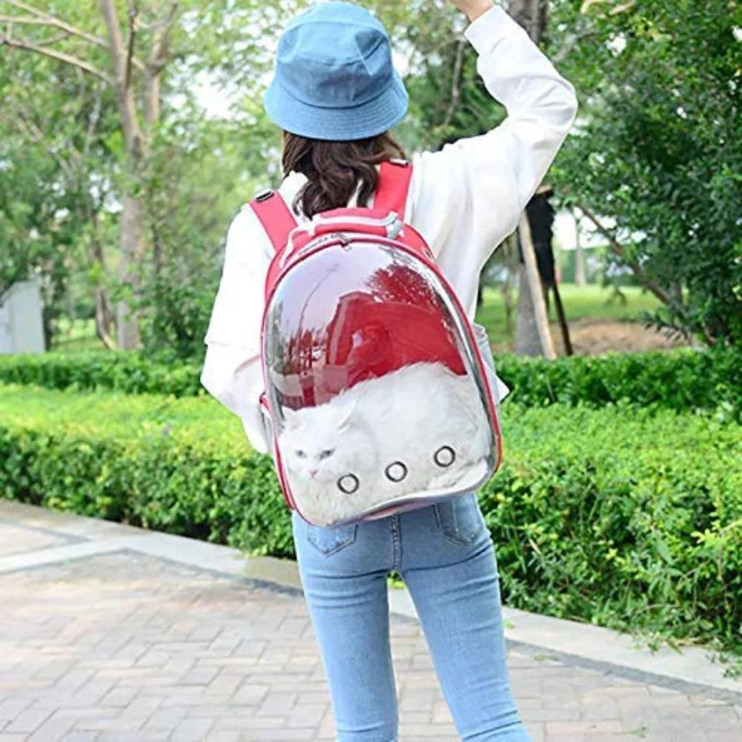 Pet Carrier Backpack | Breathable Travel Capsule for Puppies & Kittens - Image 2