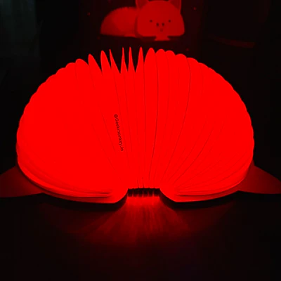 Pretty Piggy Foldable Lamp - Book Style Lamp - Image 5