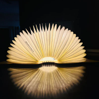 Pretty Piggy Foldable Lamp - Book Style Lamp - Image 6