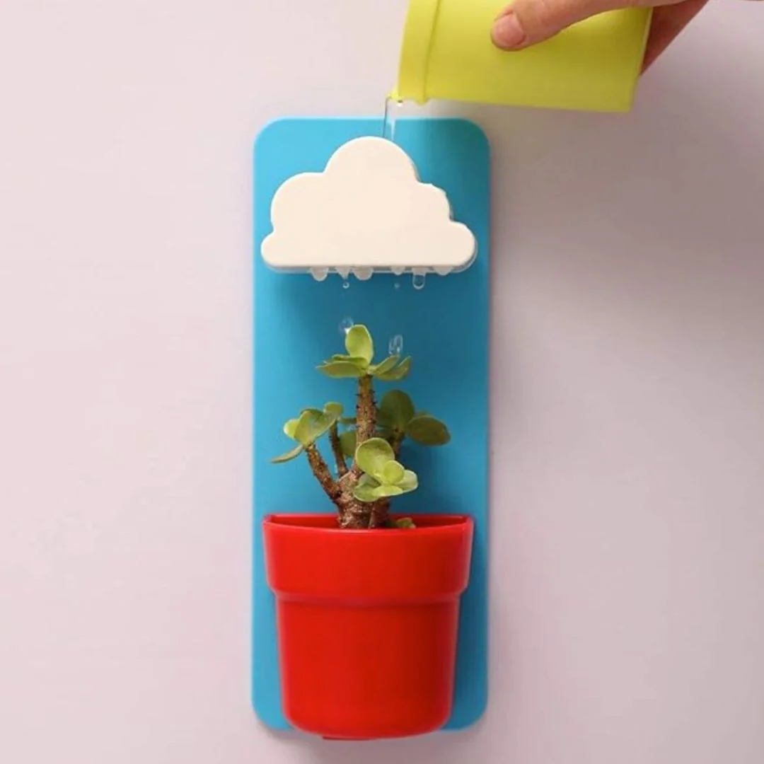 Rainy Cloud Pot – Wall Mounted Self-Watering Planter for Kids n Home Decor