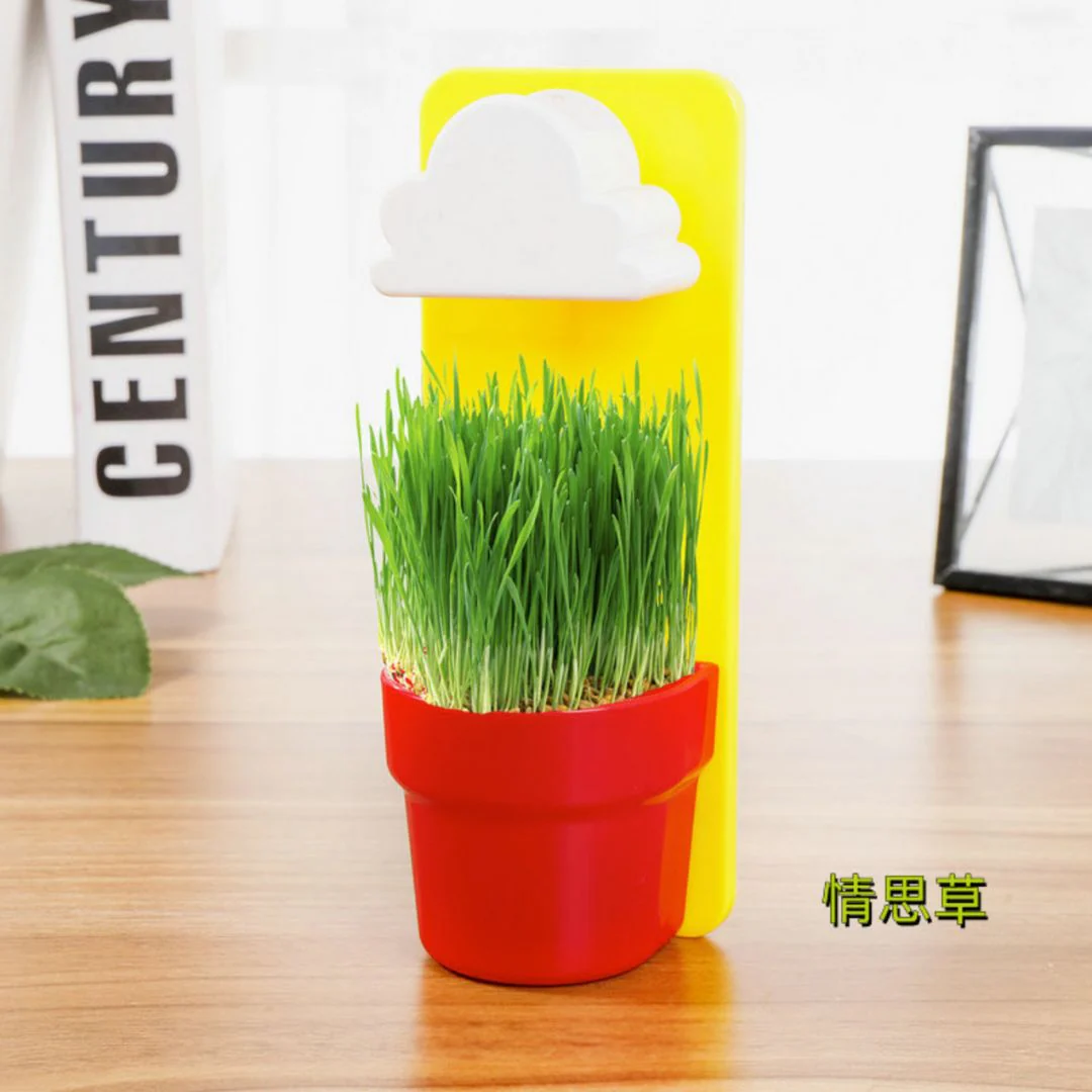 Rainy Cloud Pot – Wall Mounted Self-Watering Planter for Kids n Home Decor - Image 6